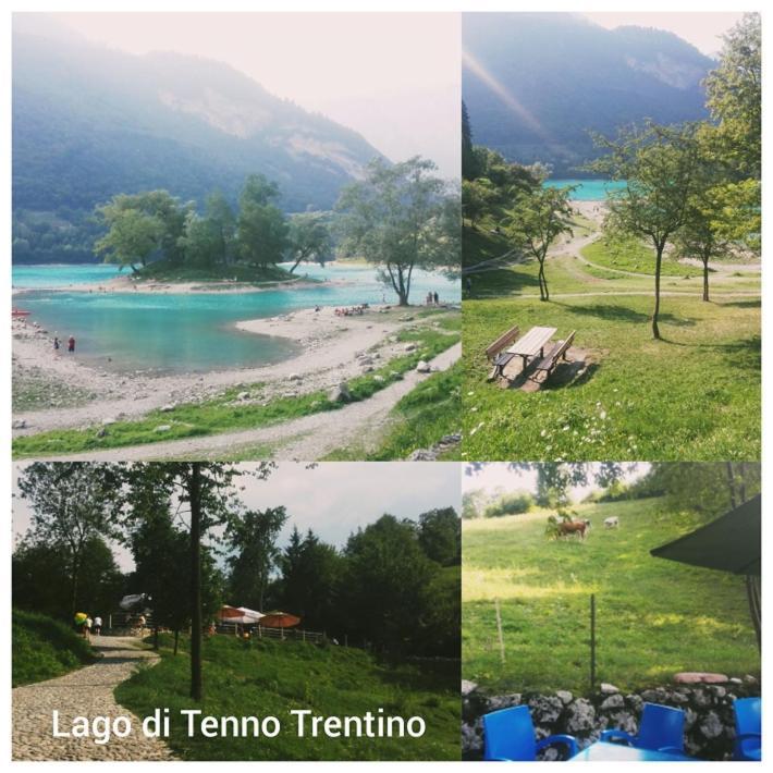 Agritur Tenno Cantina Bio Natura Kültér fotó